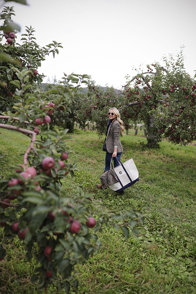 Atlantic Pacific Blog // Blair Eadie apple picking! 
