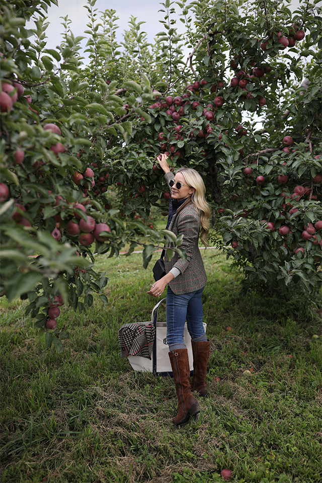 Atlantic Pacific Blog // Blair Eadie apple picking! 