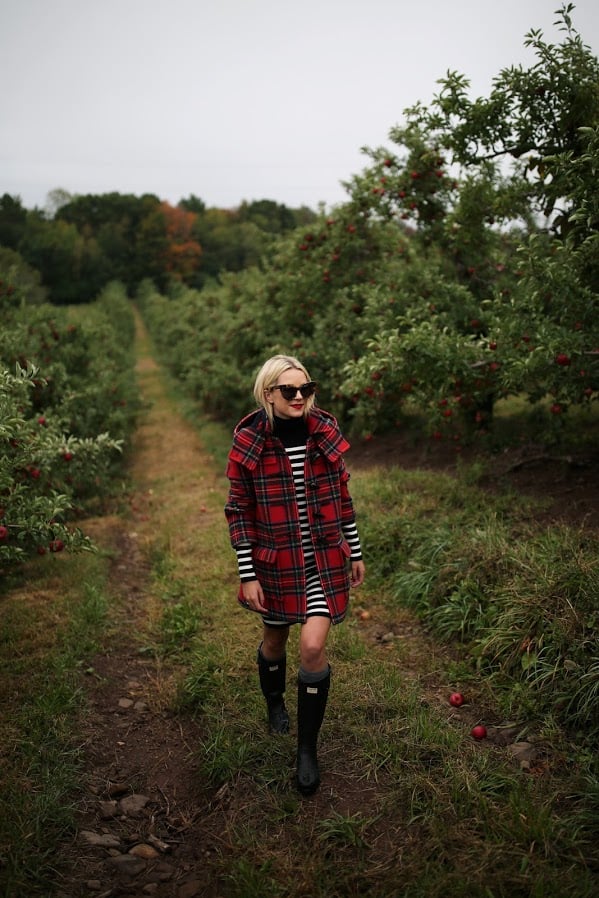 Plaid Jacket Apple Picking