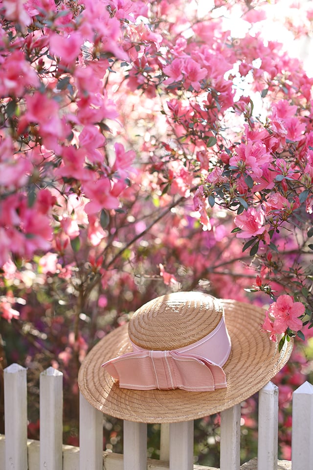 Atlantic-Pacific // Beaufort in pink