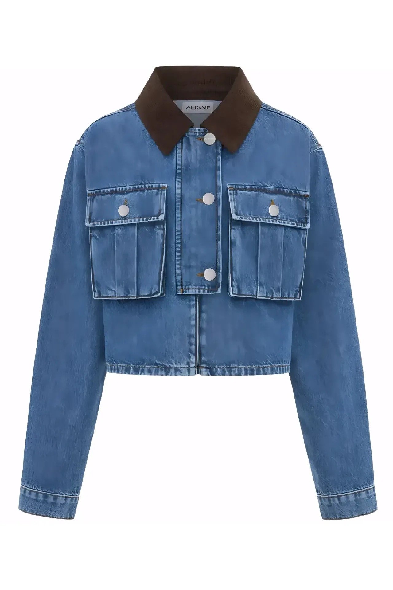 Transitional Jackets13