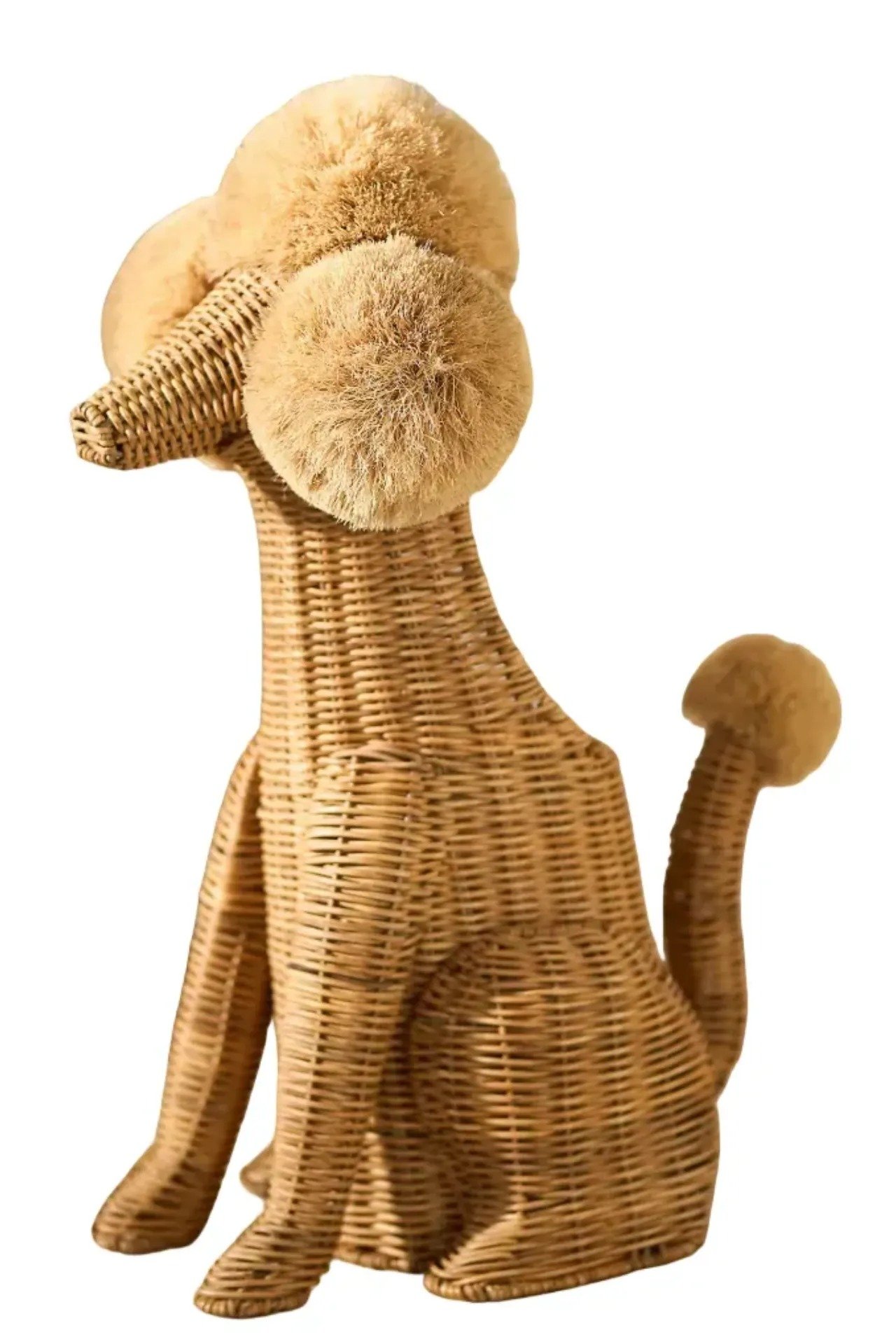 Screenshot 2025-11-16 at 5.12.00 PM