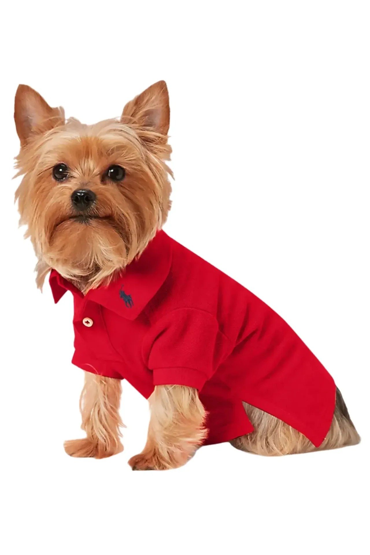 Screenshot 2025-11-16 at 5.12.34 PM