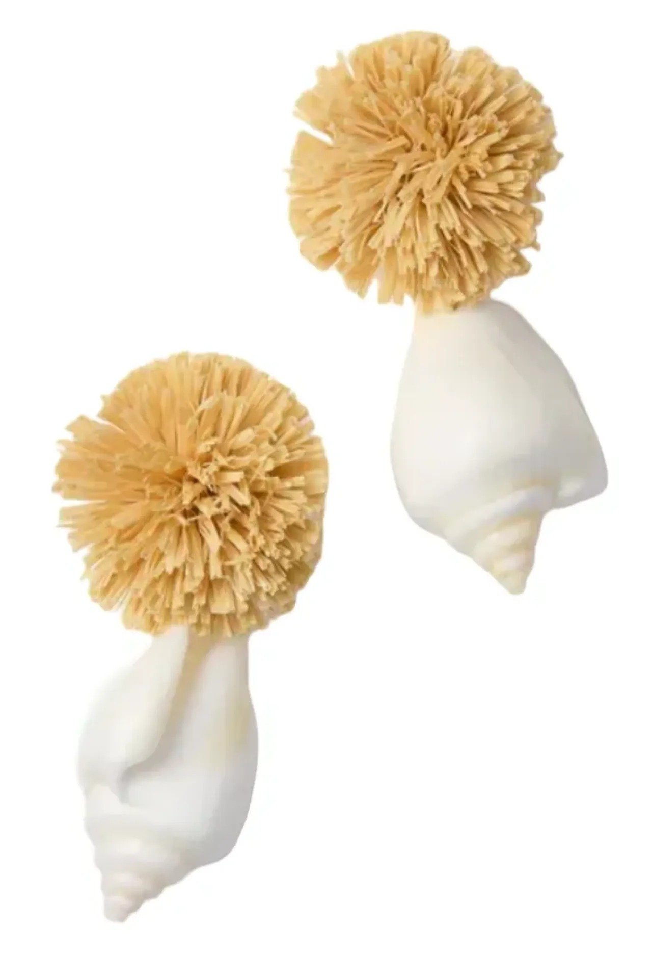 Screenshot 2026-02-13 at 12.42.14 PM