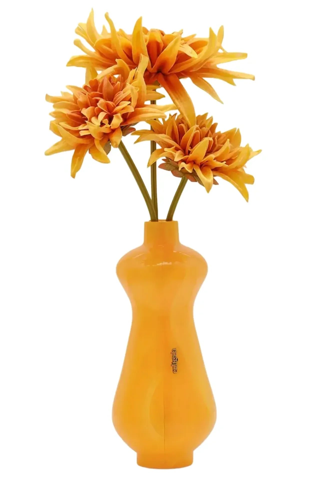 Screenshot 2026-03-15 at 11.31.14 AM