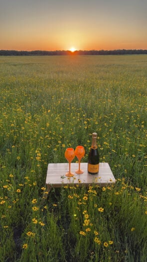 MY SUMMER INTENTIONS
