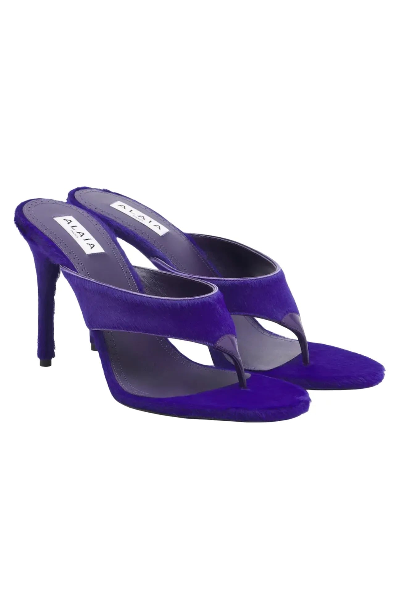 Purple Picks 10